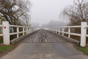 THE BRIDGE