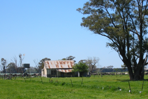 COUNTRY HOUSE